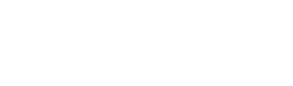 AlphaPlus logo white
